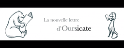 Oursicate oursicate GIF