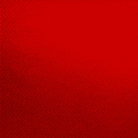 Posing Bayer 04 GIF by Bayer 04 Leverkusen