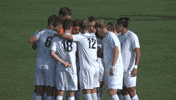 cnms18 GIF by Carson-Newman Athletics
