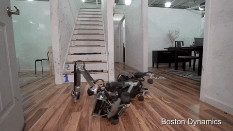 GIF by The Telegraph
