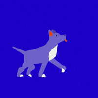 Hallvaror_  GIF