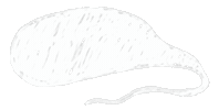 Drawing Doodle Sticker by shurushok