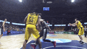 Liga Endesa Basketball GIF by ACB