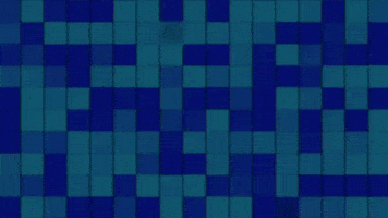 Stonk GIF