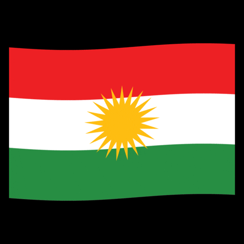 Kurdistan Kurd GIF by Gecko Developments