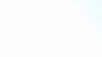 Basketball Champions League Bcl GIF by San Pablo Burgos