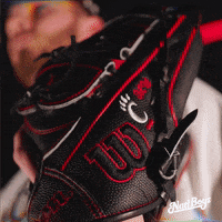 College Baseball GIF by Cincinnati Bearcats