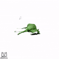 Horse Pain GIF