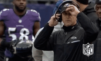 Baltimore Ravens Football GIF by NFL
