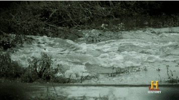 history channel no GIF by Endemol Beyond