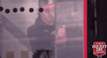 Ice Hockey No GIF by NHL