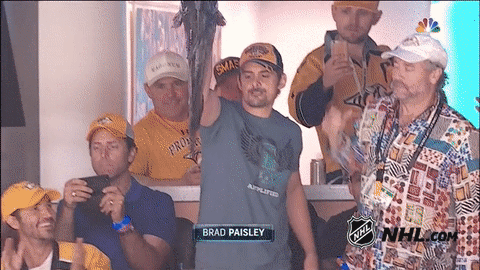 ice hockey GIF by NHL