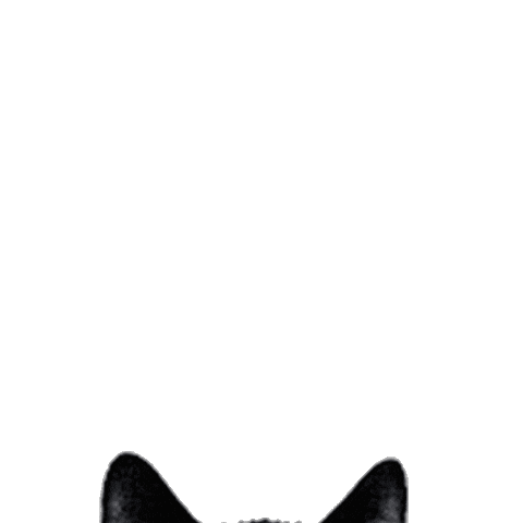 Illustration Halloween Sticker