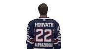 Ice Hockey Sport Sticker by Fehervar AV19