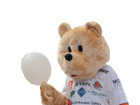 Pesis Sticker by Mailajuniorit ry