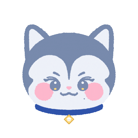 ndgallery giphyupload seventeen 세븐틴 mingyu Sticker