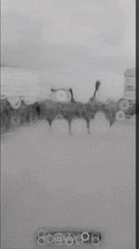 Syria GIF