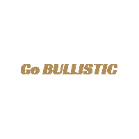 bullitusa crossfit hiit brute sandbag Sticker