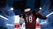 College Football GIF by gamecocksonline