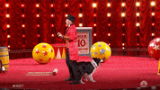 Agt GIF by America's Got Talent