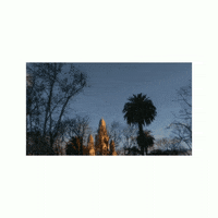 elojodenestor gif art remix tandil street photography GIF