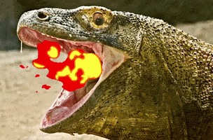 Komodo Dragon Dracarys Fire Rage Angry GIF by Los Angeles Zoo and Botanical Gardens