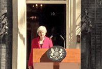 prime minister theresa may resignation GIF