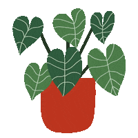 Instagram Plant Sticker