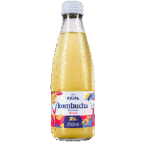 Kombucha Croatia Sticker by ekipa.hr