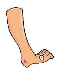Feet Foot Sticker