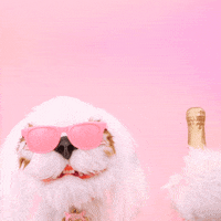 Dog Hello GIF by Ben & Julia