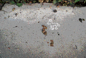 Paatrice chalk craie paatrice ouature GIF