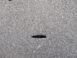 Paatrice chalk craie paatrice ouature GIF
