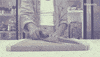 GIF by Mashable