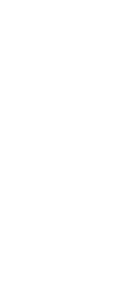 Spider Web Halloween Sticker