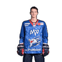 Nick Mähler Sticker by Adler Mannheim