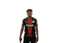 soccer bundesliga Sticker by Bayer 04 Leverkusen