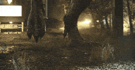 Run Dinosaur GIF by Jurassic World