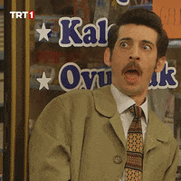 Comedy Reaction GIF by TRT