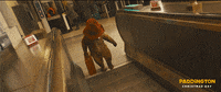 paddington bear animation GIF by The Weinstein Company