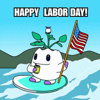 Labor Day Weekend GIF by Magic Eden