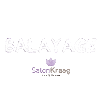 Balayage Kapper Sticker by Salon Kraag