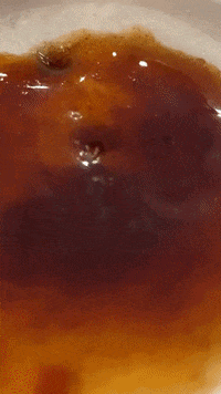 Coffee Fall GIF by Good Morning America