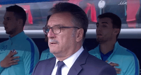 euro 2016 moustache GIF by Sporza
