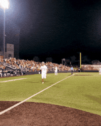 Ut GIF by Texas Longhorns