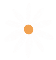 Flower Daisy Sticker