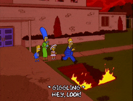 homer simpson GIF