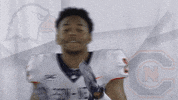 Carson Newman Football GIF by Carson-Newman Athletics