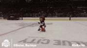 Ohio State Sport GIF by Ohio State Athletics