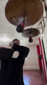 Aldo De Nigris Box GIF